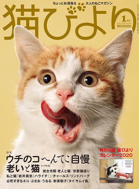 猫びより 猫びより年1月号は12月12日 木 発売 表紙も特集も付録カレンダーも へんてこかわいい猫たちが大集合 T Co Qjadxm4wk4