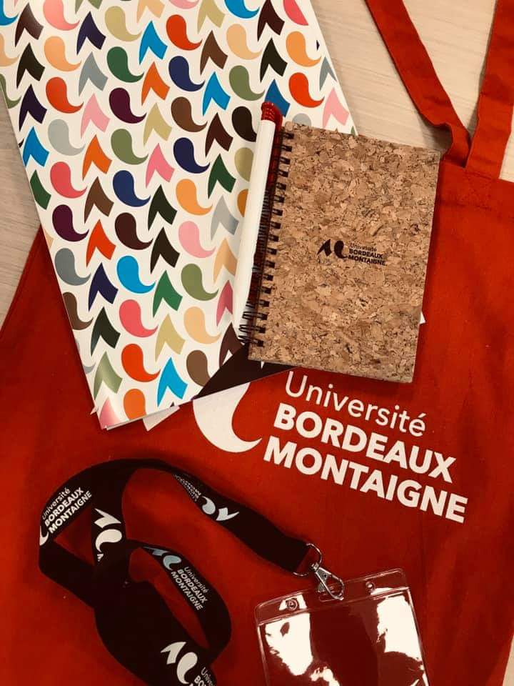 ISIC_MasterDNE's tweet photo. ✈ J-1 ! Les goodies à l’effigie de l’@ubmontaigne ont été récupérés pour la semaine du numérique éducatif ! #DNExUIZ 💡 https://t.co/tSZHrshmyW