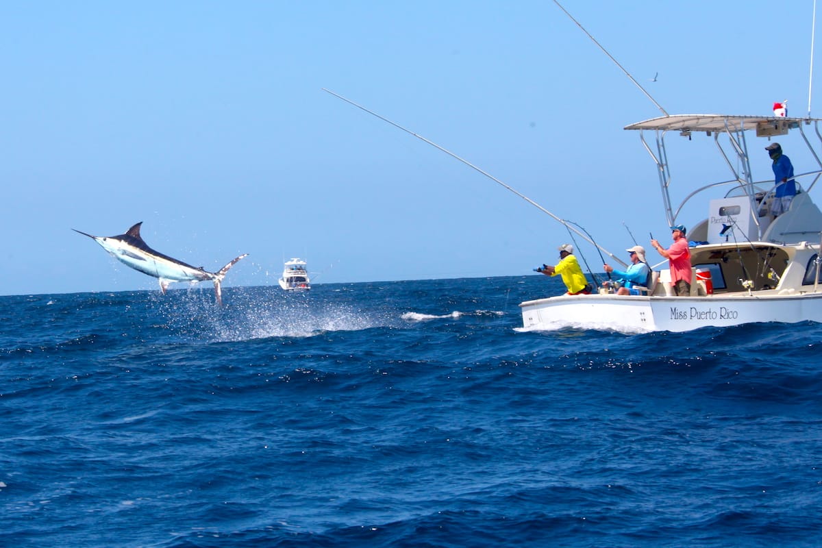 The annual Billfish Tournament @tropicstarlodge was a great success. Looking forward to our 2020 events! Good video recap here: youtube.com/watch?v=VEOo0R…
