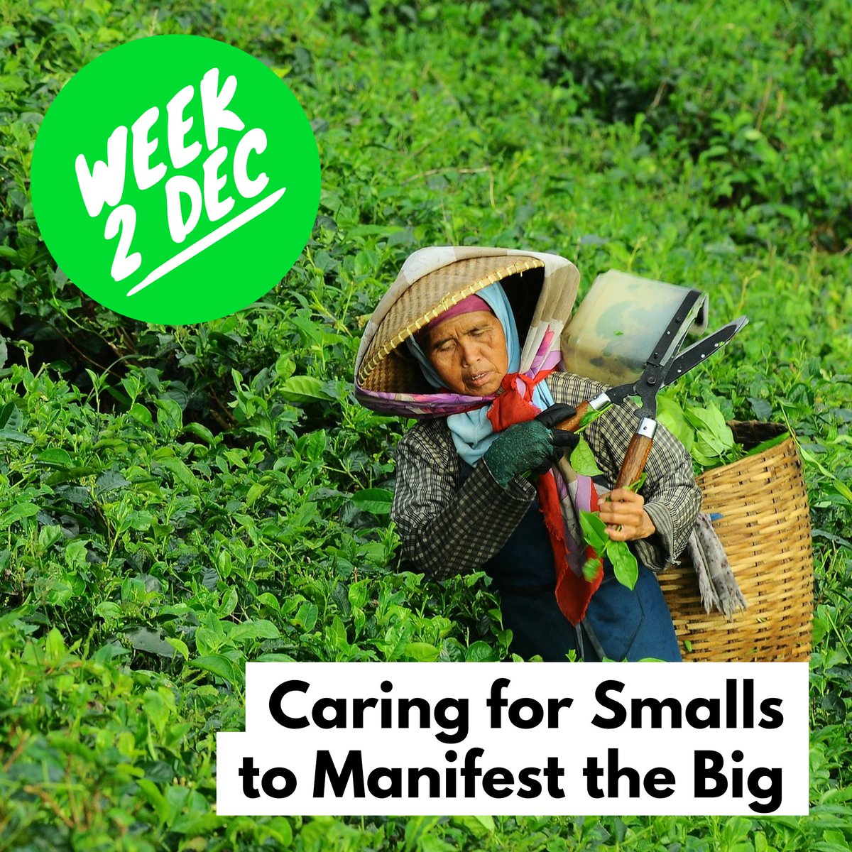 ichingcafe's tweet photo. In our first weekly overview for December 2019, the I Ching asks us to focus on the small things... https://t.co/J7qGOglYNl #iching #hexagram9 #hexagram63 #clarity #mastery #agility #business https://t.co/F5Iw3OpDYI