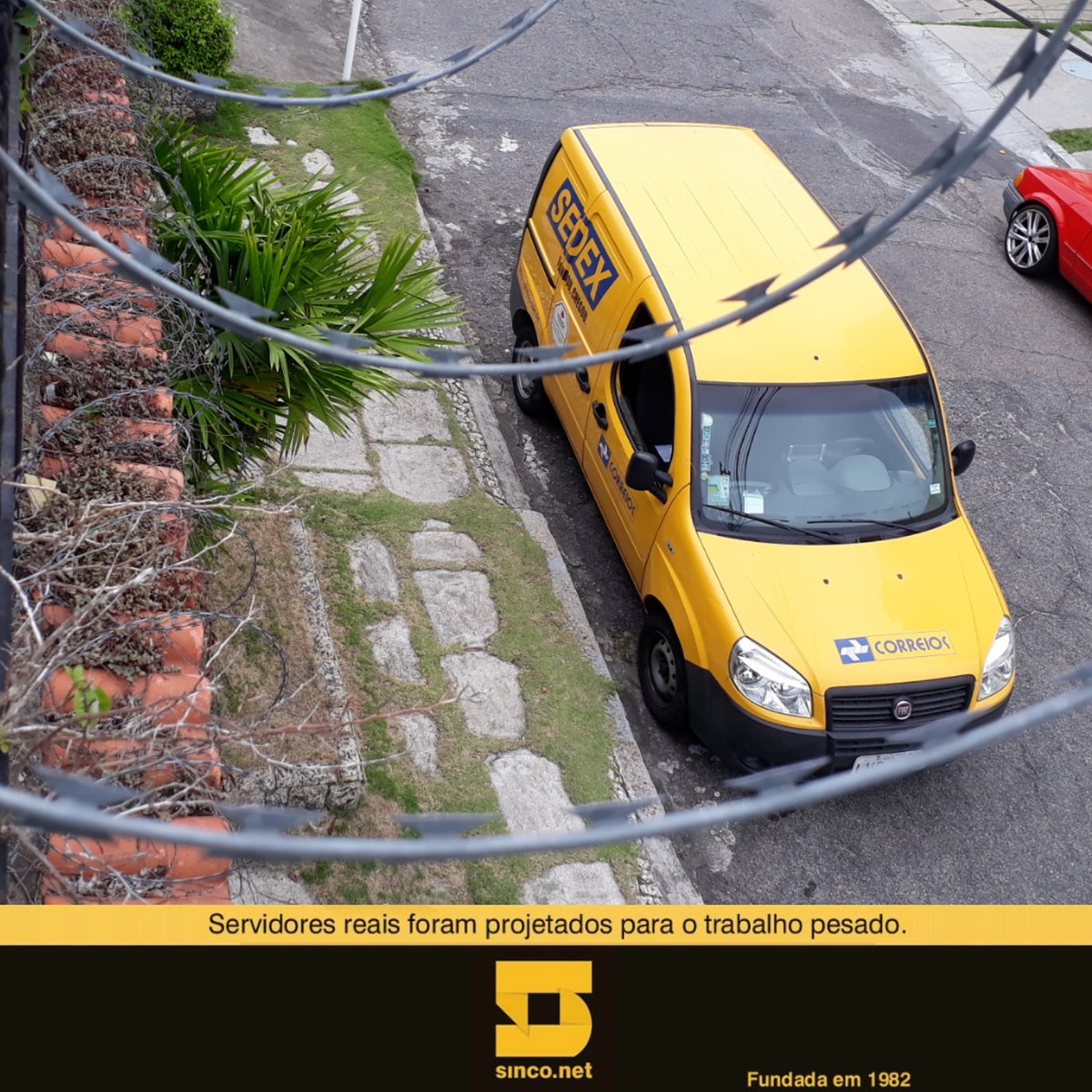 Sinco_Brasil's tweet photo. #PartiuMG! Se o seu #Upgrade vai pra #viçosa ... Ele acabou de por o #penaestrada
Aqui construímos #Servidores Reais!
https://t.co/tH5Zt8xwXR
#Sinco #Tradição #Desde1982 #Xeon #IamIntel #Kingston #Seagate #Crucial #Nilko #DataCenter #RJ #Informatica https://t.co/yHTwlGzq76
