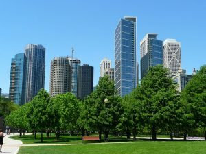 TorontoLmovers's tweet photo. Moving from Toronto to Chicago https://t.co/cmBRhK7Grp https://t.co/wu5EiwA8kr