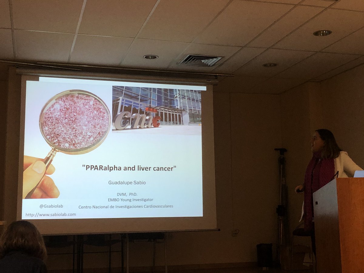 nurcamein's tweet photo. Let’s move to #livercancer and #ppara with @Gsabiolab #nuclearreceptors @CIBERONC @IIBmCSICUAM https://t.co/qXmJvWDFD3