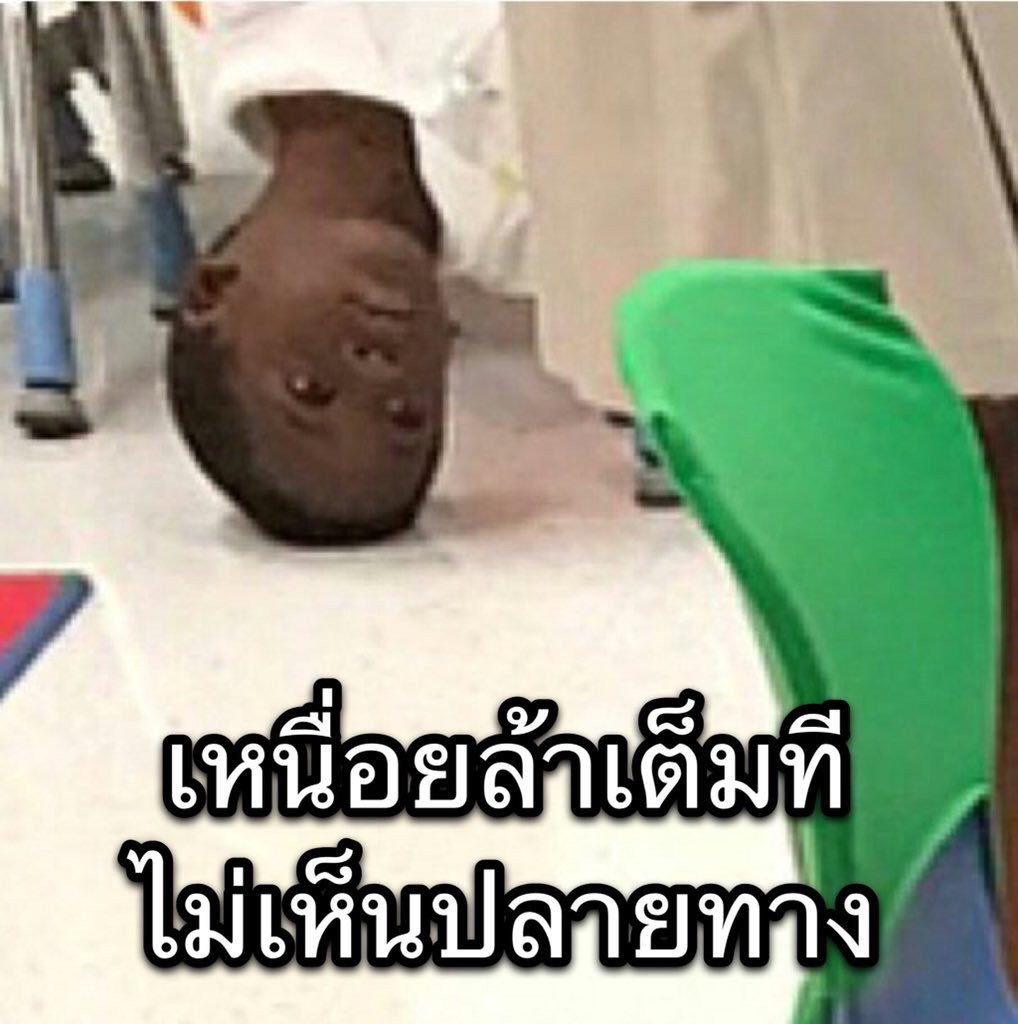 @memeTH tweet media