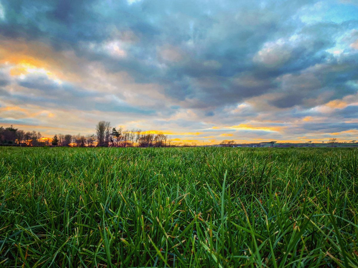 Caitlin Jones tweet media