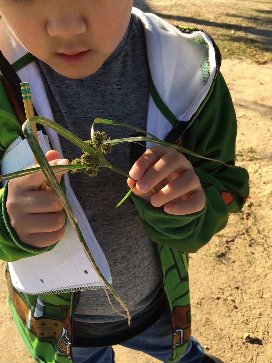 BoudreauxX3's tweet photo. Ss, “Can we touch that?” @BoudreauxX3 “yes, please touch it, #observe #explore #getoutdoors “ @ReedElementary @CFISDScience https://t.co/Nm5RvRzJFG