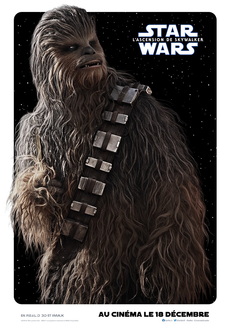 RealD_FR's tweet photo. Découvrez les affiches des personnages de Star Wars : L'Ascension de Skywalker. Dites-nous quel est votre favori! #StarWars #LAscensiondeSkywalker https://t.co/UCSD8Bzhzr