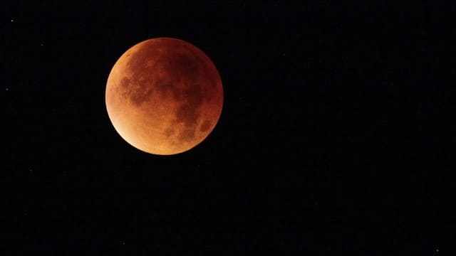 E_Lightningit's tweet photo. Il segno degli ultimi giorni: tre rare superlune, una di seguito all’altra https://t.co/Zrf4LfU7sH https://t.co/iAUza2ChEt