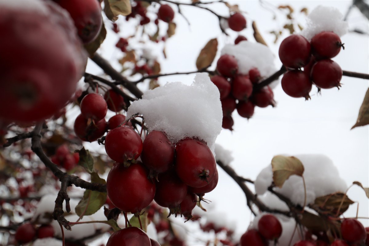 A Factory Hashtag On Twitter