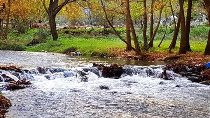 Princesss_93's tweet photo. الخريف في منطقة عيون السمك- عكار 💛🍁🍂
#Autumn 
#Lebanon https://t.co/VScrkN9SHZ