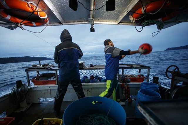 DepthNZ's tweet image. If you want to make money from fishing in New Zealand, it isn’t necessary to actually go fishing. You just need to buy quota.
That’s because the quota management system has shifted the profits of fishing from the skipper on the water to the company holdi… ift.tt/2P8cghp