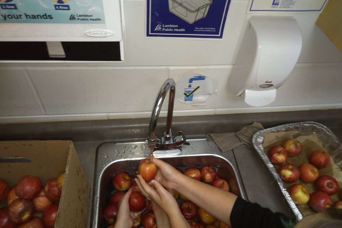 tyblakesmom's tweet photo. Washing fruit for the snack program! Keeping us healthy through the year! #lkdsb #BBroncos #EAitForward https://t.co/hy9kh6eF6Y