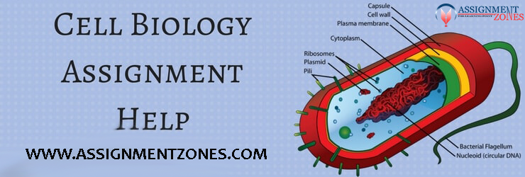 AssignmentZones's tweet image. Cell biology is identified to be the study that concern about cell framework and its performance. This subject offers with the idea of cell and its connection to basic unit of life. assignmentzones.com/cell-biology-h…
#CellBiologyAssignmentHelp
#AssignmentZones
#CellBiologyHomeWorkHelp