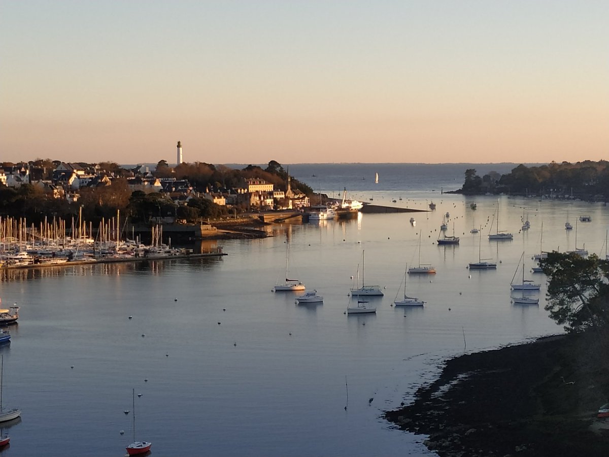 PVFinistere tweet media