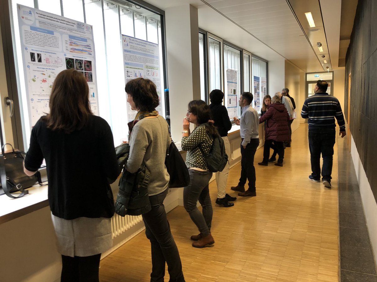 CPI_ExStra's tweet photo. Snacks & Science - poster session from our CPI Academy members during the lunch break - enjoy! #science #cardiopulmonaryinstitute #frankfurt #cardiovascular #dimmelerlab @InstCardReg_FFM https://t.co/3QAcPUUkeD