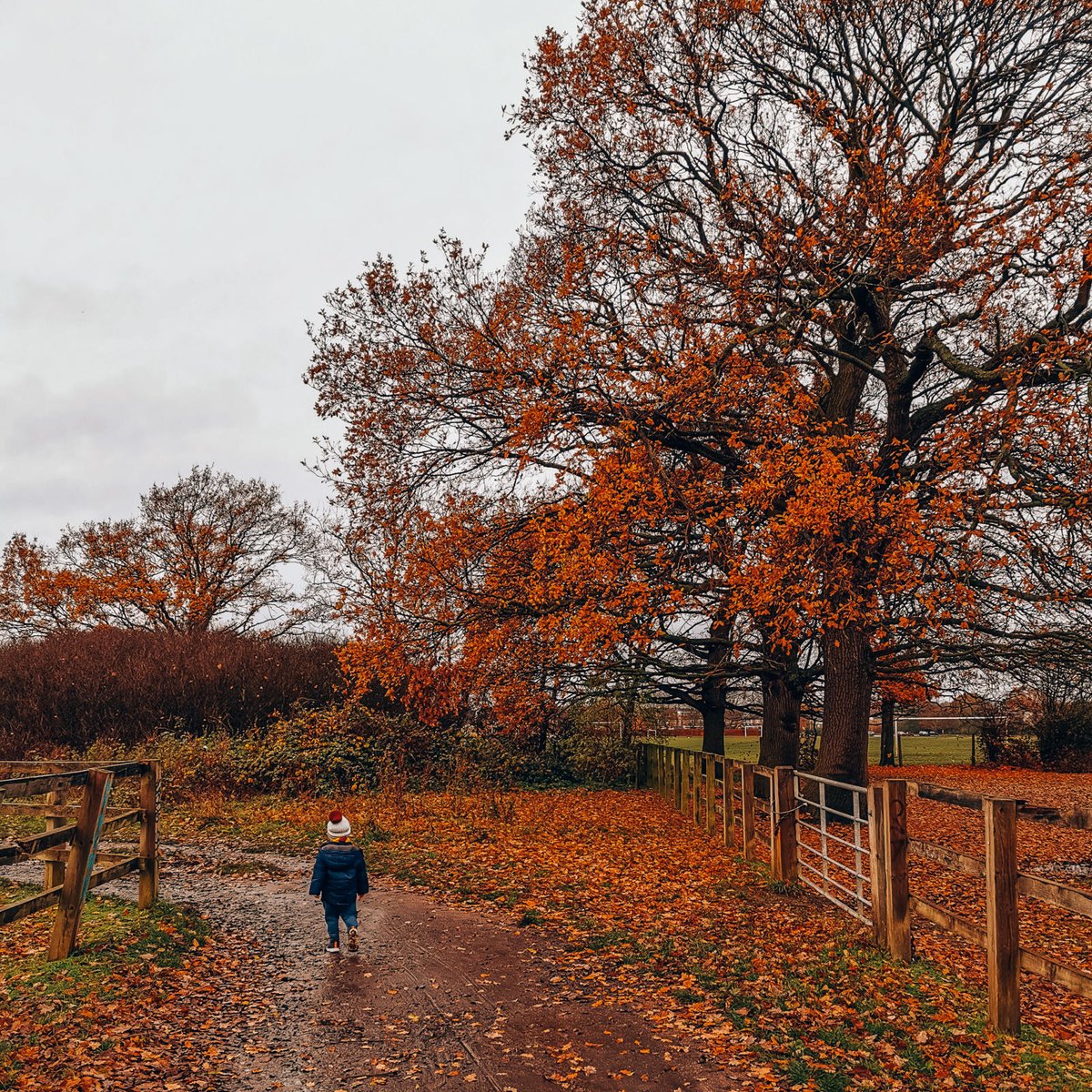 AD | Moving home with a toddler: thehelsproject.com/2019/12/02/mak… 🏡

@BloggerLS #littleblogrt