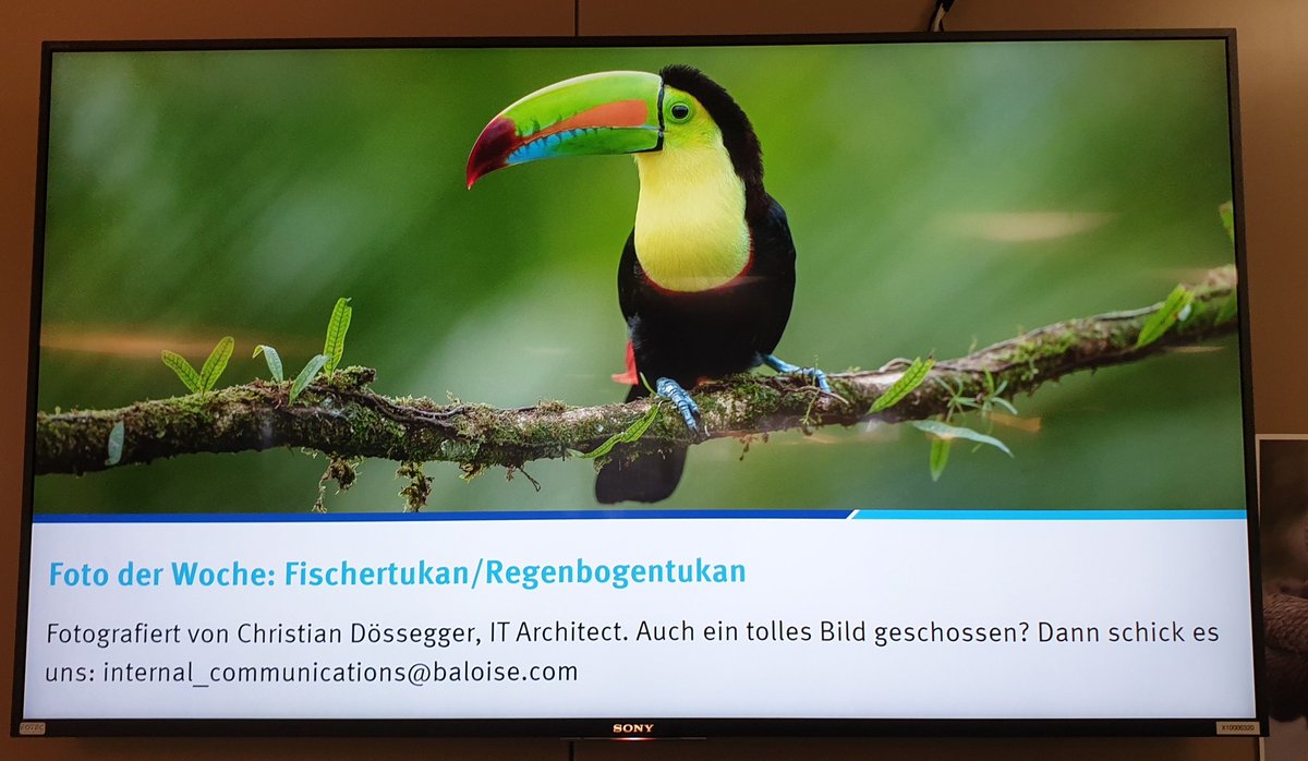 chris_de_segger's tweet photo. Happy to see my pic 😊 thx @Baloise_Group https://t.co/am5XJ7BAkK