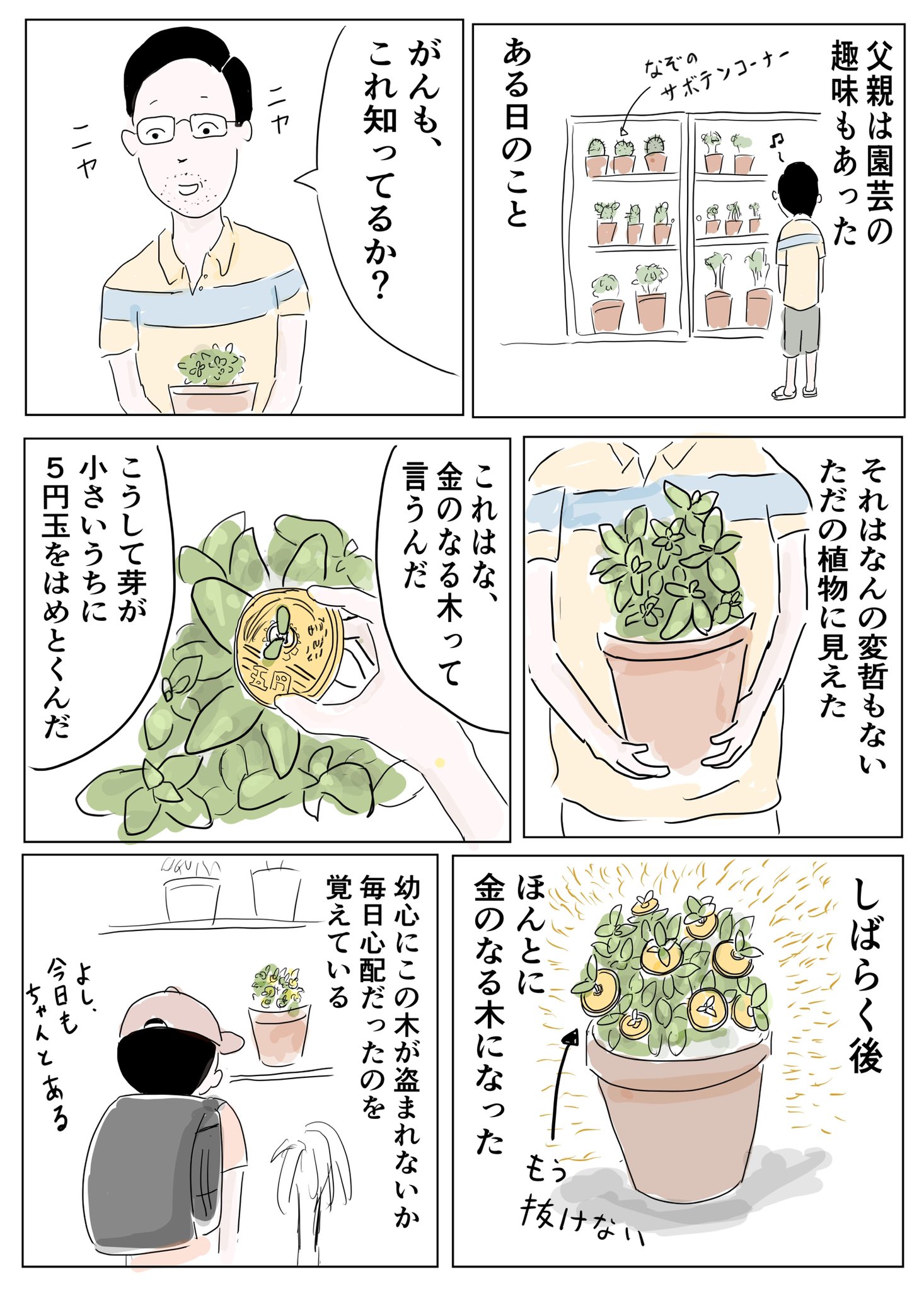 金のなる木 ５ Elmaco Egypt Com Eg