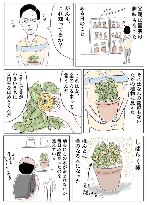 今日のマンガ花月、クラッスラと言う名前の木だそうで、5円玉の穴より小さいうちに芽を通しておくと金のなる木ができるみたいです。#コルクラボマンガ専科 #マンガ課題 