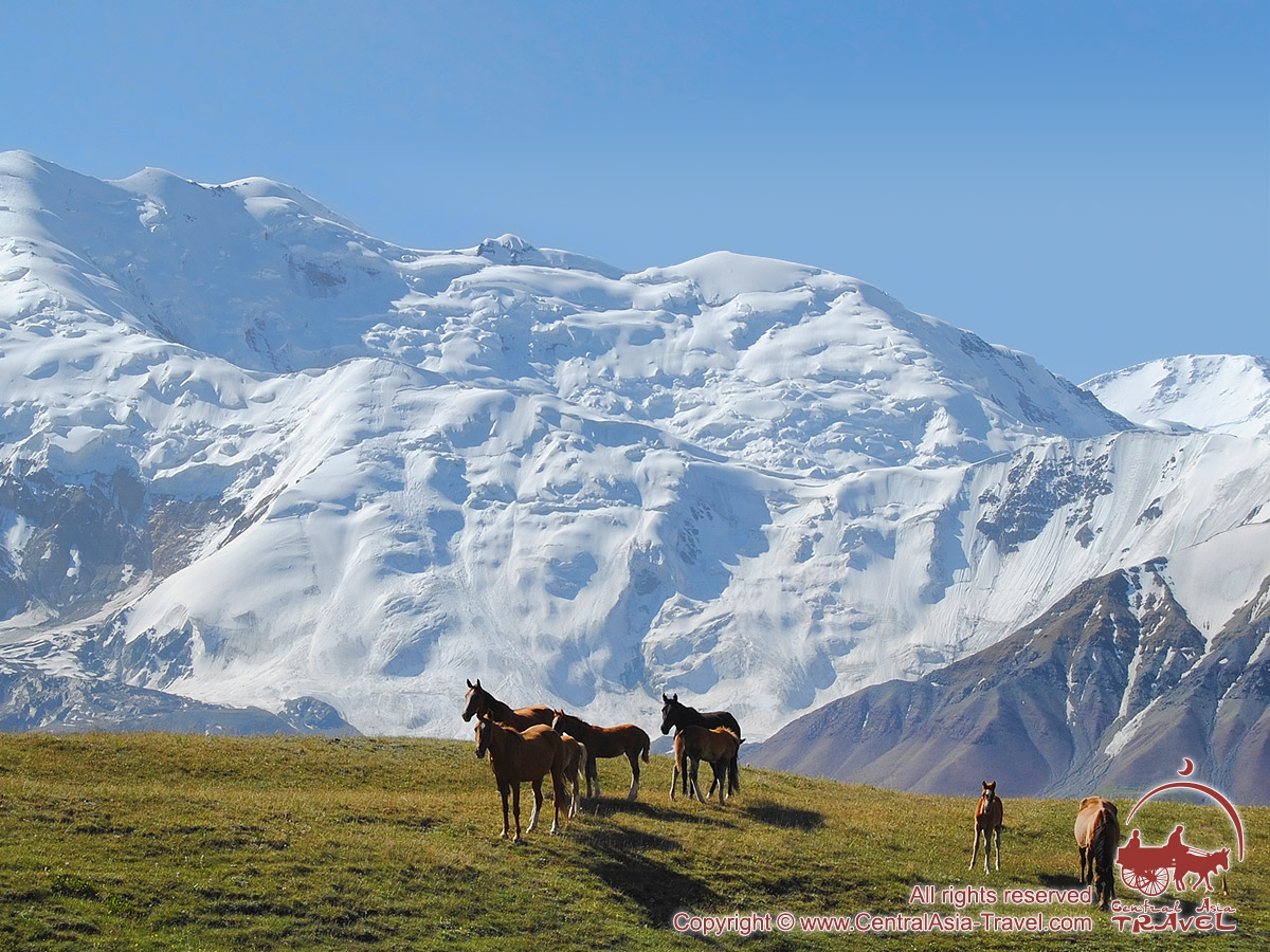 CA_Travel's tweet photo. 🧳🇰🇬 The Pearls Of #Kyrgyzstan - Amazing trip for visiting main attractions of Kyrgyzstan.
📌 Group №1. July 13 - 22, 2020
📌 Group №2. August 10 - 19, 2020
💲 The price: 1135 USD / per person (twin/double share)
🔍 https://t.co/GdROVtvDmt
📧 tours@centralasia-travel.com https://t.co/CjMQxw7dvJ