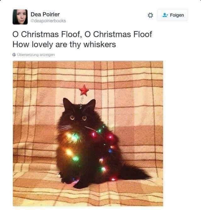 Has everyone got their Christmas decorations up now? 🎄