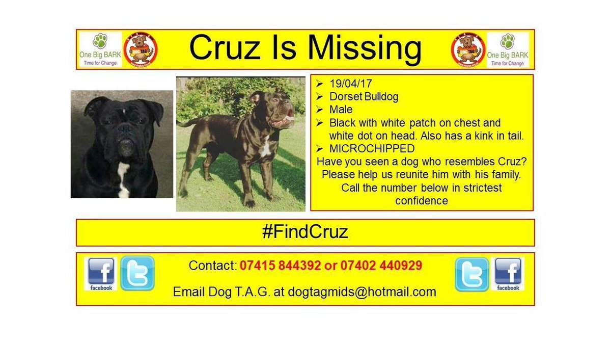 DogTAGMids's tweet photo. 19/04/17
Dorset Bulldog
Male
Black with white patch on chest and white dot on head. Also has a kink in tail.
MICROCHIPPED
Contact: 07415 844392 or 07402 440929
#FindCruz #LostDogAlert #LostDog https://t.co/i2K3GPu03e