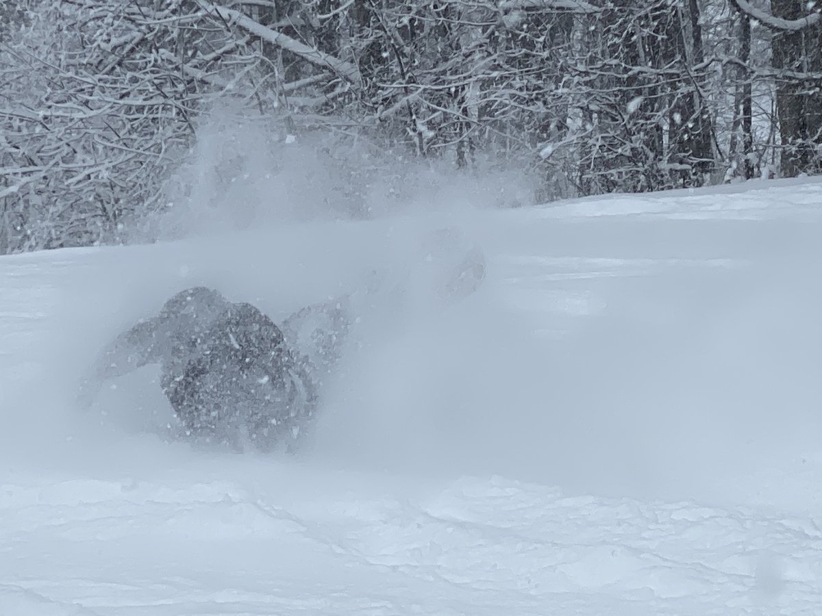 skigreekpeak's tweet photo. Some embraced the powder more than others yesterday. Storm total: 14” of new snow. We will have 14, possibly 15, trails open today from 9:30am-4pm. MG/PP
#greekpeak
#PowderPlayground
#SkiandStay https://t.co/OlVukYT4DA