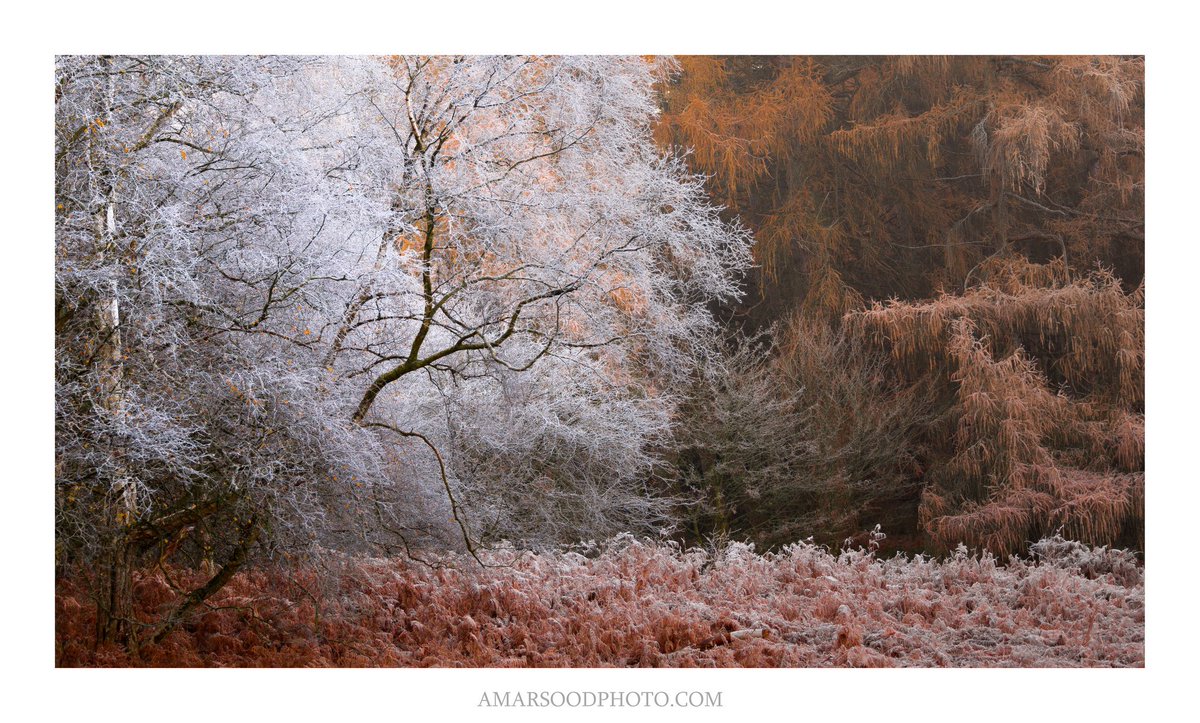 Wex Photo Video tweet media