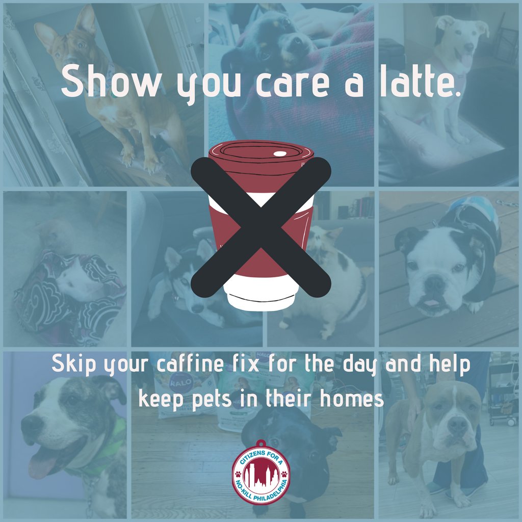 Philly No-Kill tweet media