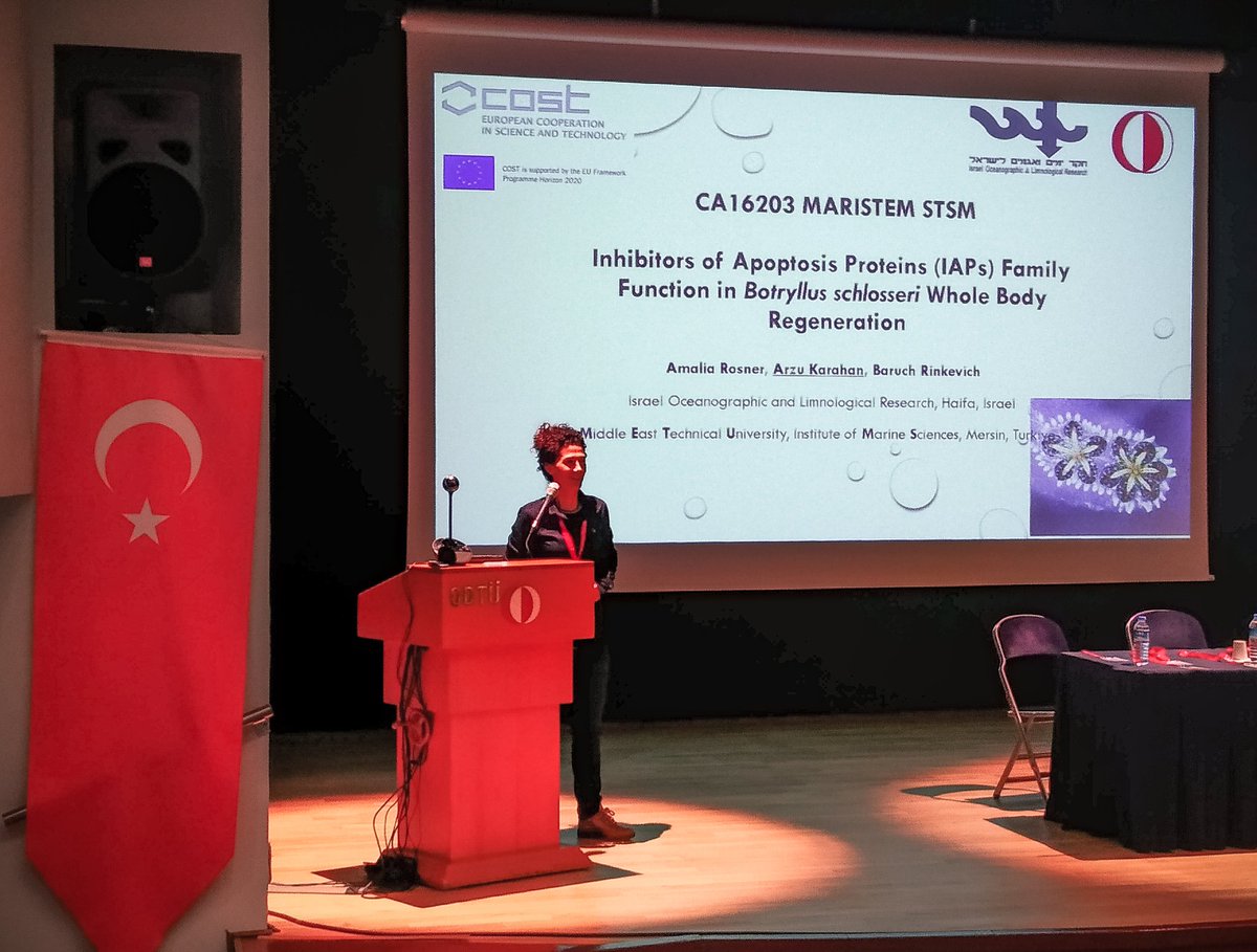 MARISTEM16203's tweet photo. Dr. Arzu Karahan, Organizer and kindest host of the 3rd MARISTEM meeting. https://t.co/2M1p7EPntS