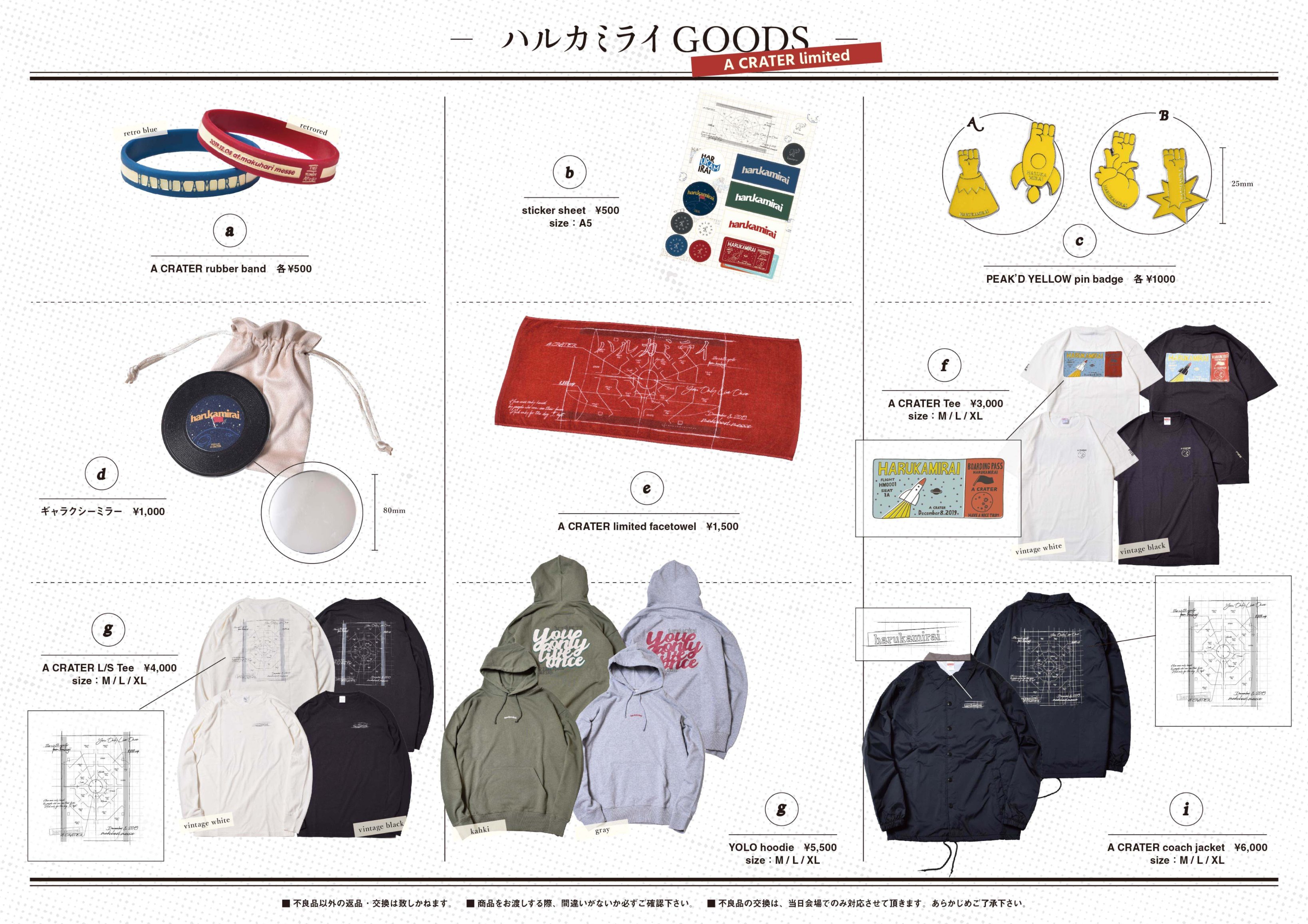 ハルカミライ ロンT インディーズグッズの通販 by りーゆう's