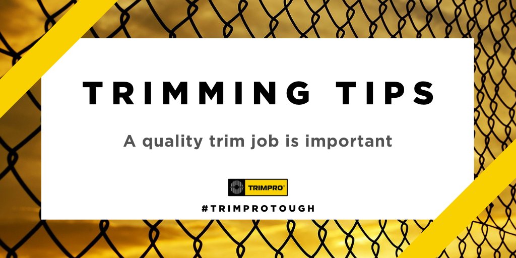 Trimprogear's tweet photo. Trimming Tips:
A quality trim job is important why?
1. Appearance
2. Smoother product
3. Trichome concentration
https://t.co/0P0XI2HzVe
#TRIMPROTOUGH #harvesting #cannabisculture #cannabiscanada #cannabiscommunity https://t.co/j0nlRTvB0y