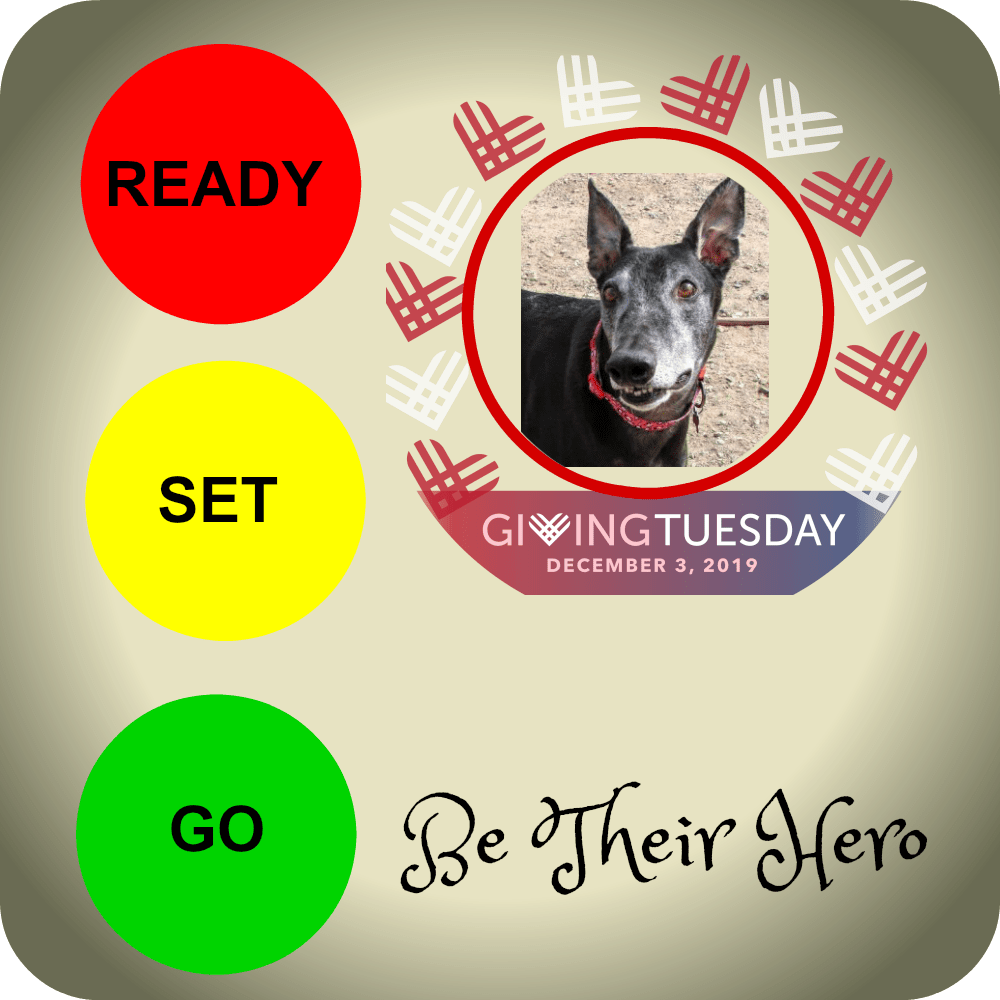 sa_greys's tweet photo. Today’s The Day https://t.co/FeqIkSselG https://t.co/YzfUjhjDV5