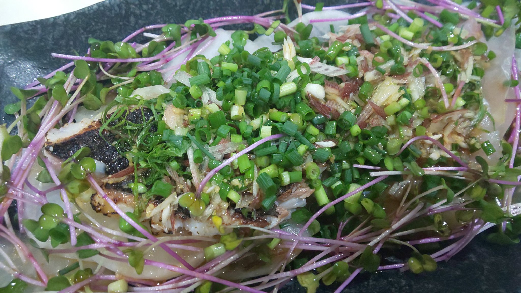 所長 めじな研究所 今日食べた魚料理 メジナは皮目を炙ってタタキに カイワリのお刺身 をリンゴと柿に添えてオリーブオイルと塩にレモン イサキはべっ甲漬けと塩焼き 刺し身ならカイワリだけど皮を炙ればメジナだし塩焼きはイサキが旨いから面白い