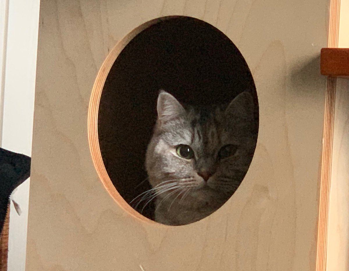 이거 왤케... 
우연하게 범인 둘이 이야기하는 걸 뒤에서 지켜보는 주인공처럼 나왔지..?