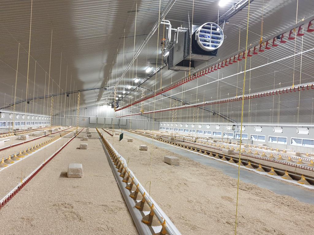 Poultry Care and Support tweet media