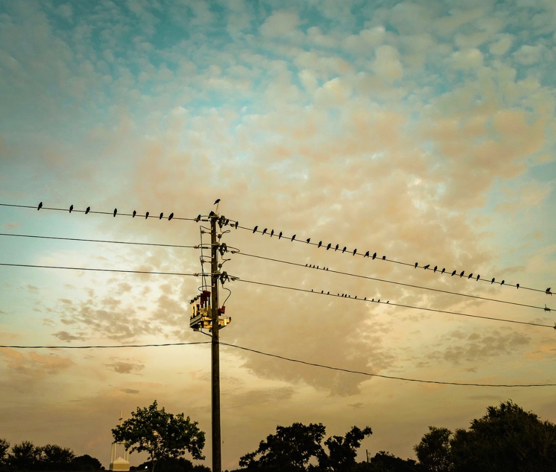 inagrainy_daze's tweet photo. #goodmorning tuesday.
#goodvibes out my car window. let's begin this day!
#laundryday
#photograghy #onesnap #photoop #outmywindow #tuesdayvibes #TuesdayMorning https://t.co/0rw4OaHiej