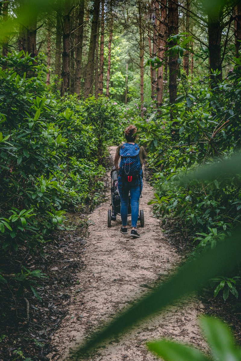 The American company <a href="/patagonia/">Patagonia</a> is among the more sustainable brands in the sports and outdoor clothing sector. What others sports and outdoor #ecobrands do you recommend? ©📷 Dan Smedley