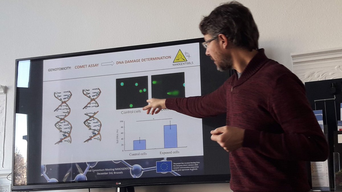 ICCRAM_UBU's tweet photo. #Project_ICCRAM | Dr. Juan Antonio Tamayo (UBU)🔬 presents the main scientific outputs and presents achievements & Dr. Francesco Dondero (UPO) 🔬 introduces the main goals achieved within #NanoGenTools in #NGTFinalMeting
#H2020 #MSCA #Nanosafety #InvestEUresearch #Nanomaterials https://t.co/kFR6kE2WbZ