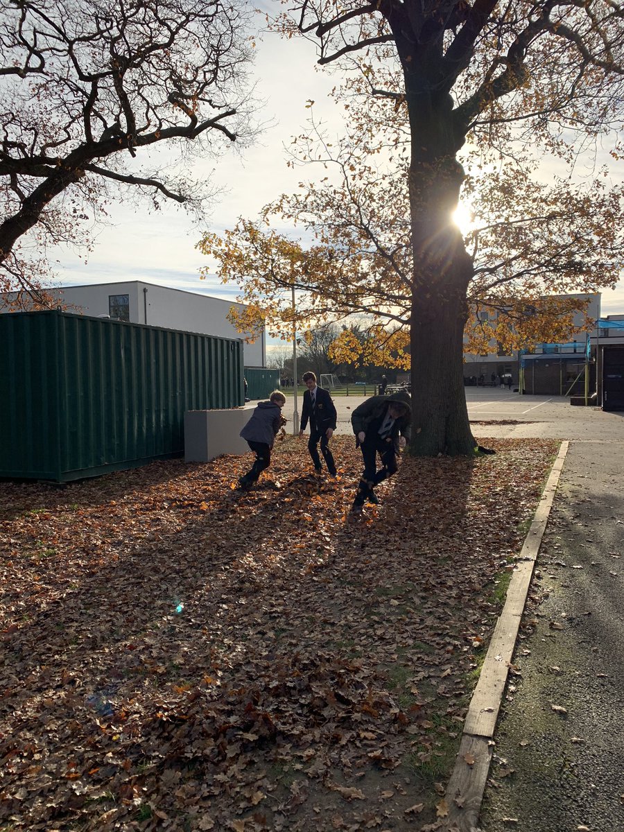 Alison da Costa tweet media