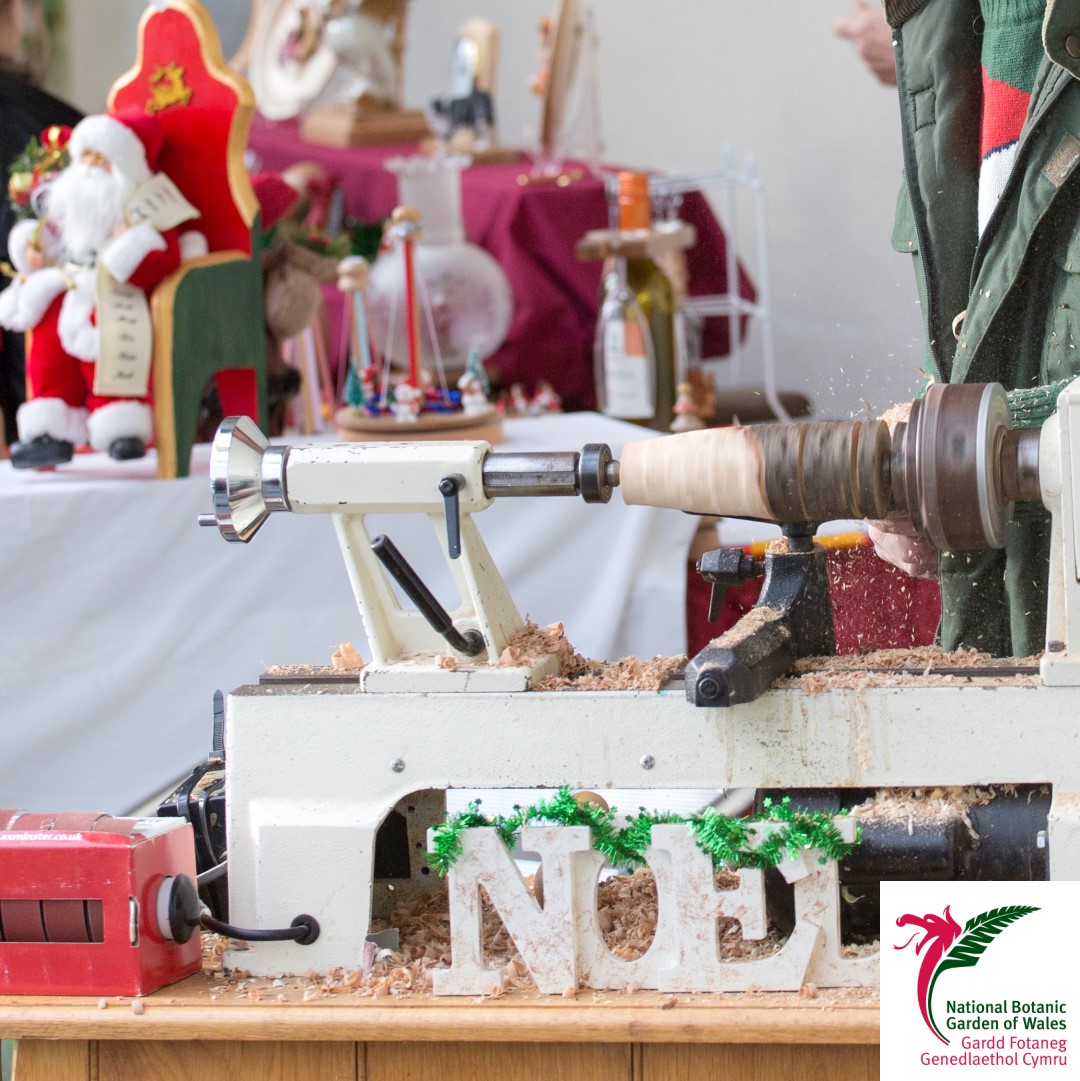 walesbotanic's tweet photo. Plenty of festive fun at the Garden this #December with our #ChristmasCraftFair on the 14th &amp;15th. Santa and his friends will also be visiting the Garden.

Why not book one of our many free #Sustainable #Christmas Workshops or come see our fabulous Family #OwlShow @ukbirdsofprey https://t.co/lc5tv39MgI