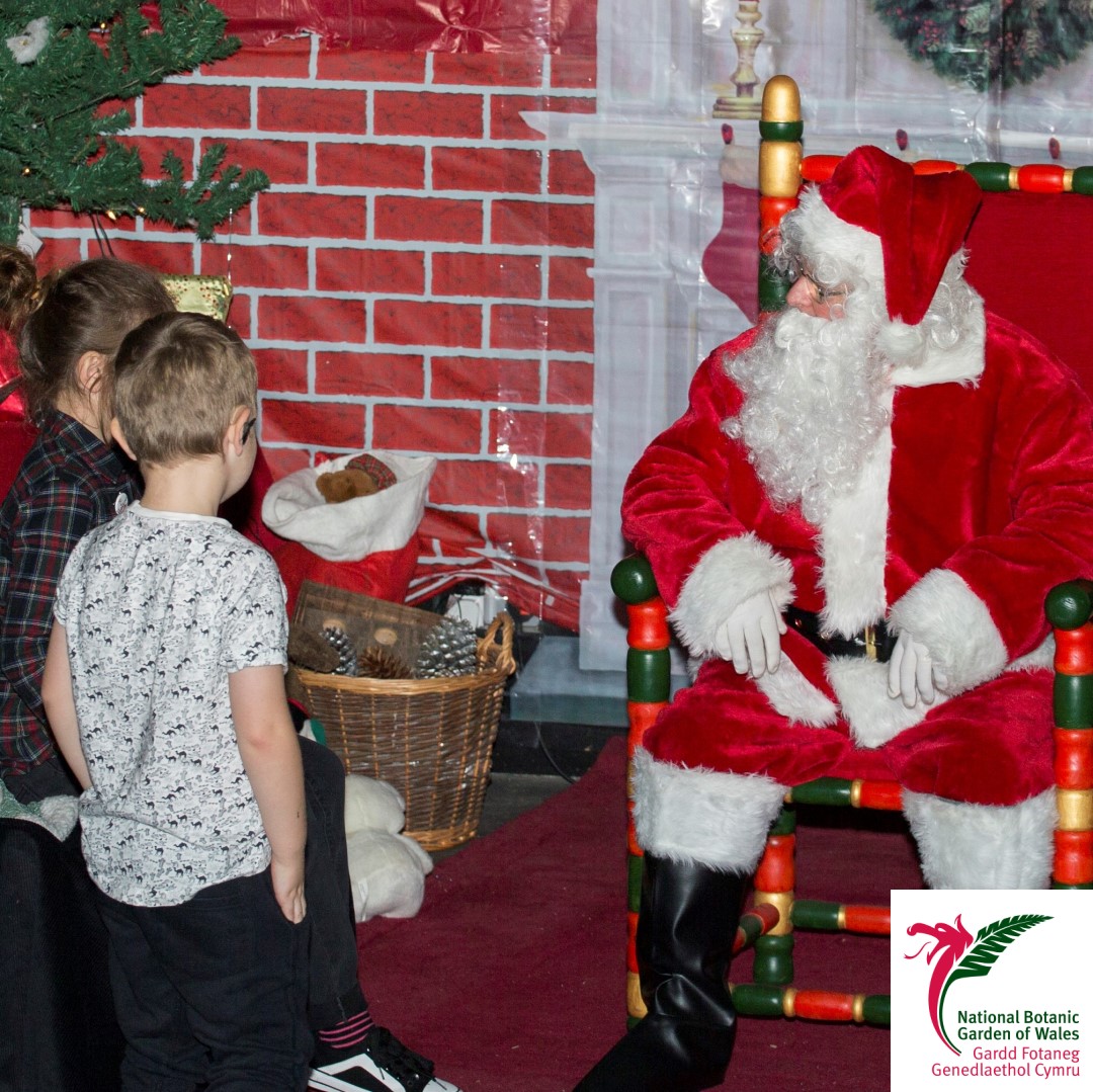 walesbotanic's tweet photo. Plenty of festive fun at the Garden this #December with our #ChristmasCraftFair on the 14th &amp;15th. Santa and his friends will also be visiting the Garden.

Why not book one of our many free #Sustainable #Christmas Workshops or come see our fabulous Family #OwlShow @ukbirdsofprey https://t.co/lc5tv39MgI