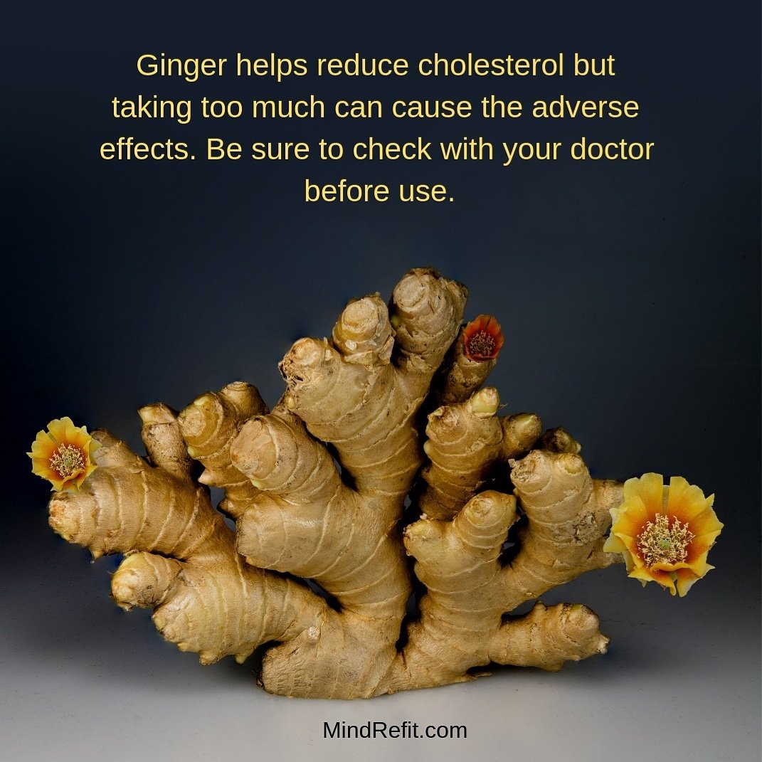 Be mindful of your ginger consumption level
#ginger #cholesterol
#reducecholesterol #cholesterollowering #health #healthylifestyle #healthyliving #healthylivingtips #mindrefit