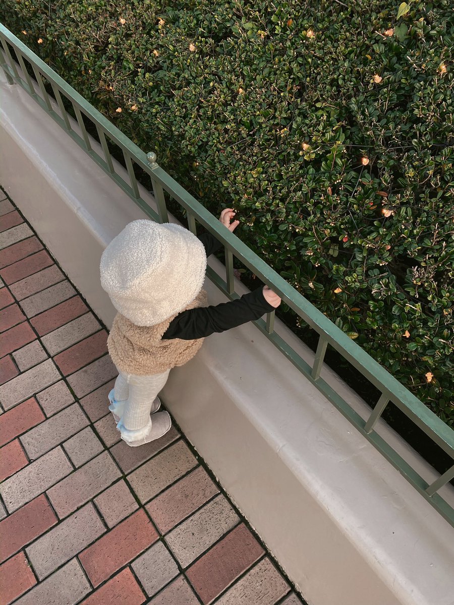 dwihandaanda's tweet photo. Freya berkebun🥺😂❤️ https://t.co/bwmsajzuvO