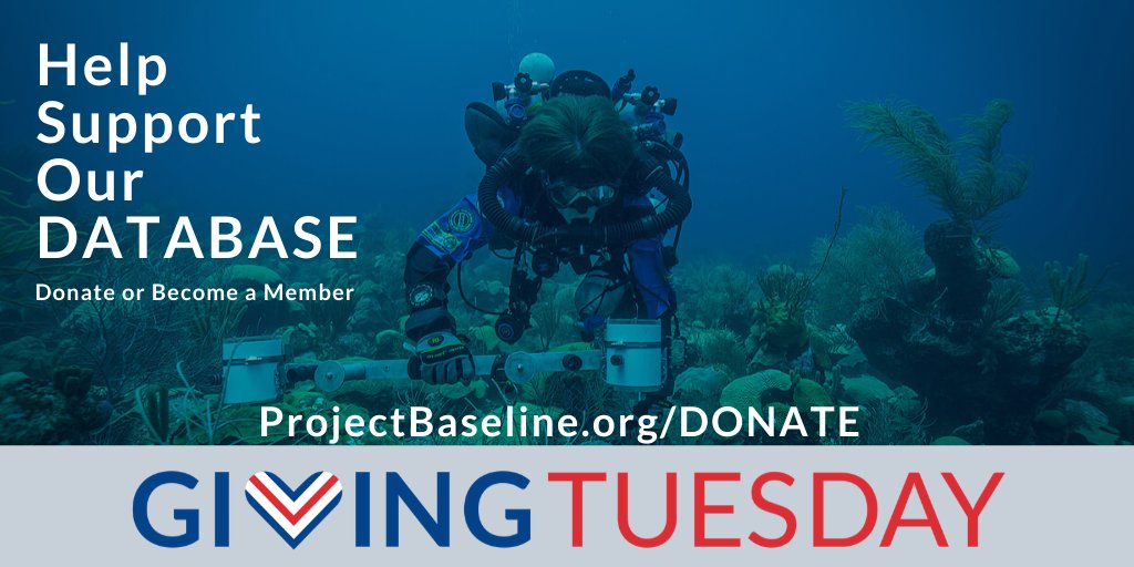 To keep going, we really need more #help to #sustain and grow our #database so that we can continue to host the valuable images and data people are collecting not to mention what we expect to get from the new divers we’re engaging. ProjectBaseline.org/Donate
