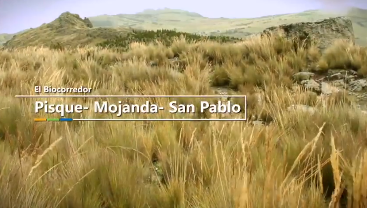 PPDEcuador's tweet photo. Compartimos, en este video, los logros y resultados del fortalecimiento del #Biocorredor Pisque Mojanda San Pablo, impulsados por las organizaciones comunitarias comprometidas con la conservación! 🌿 @Ambiente_Ec @GEF_SGP
https://t.co/7YJRKcyX8u👈 https://t.co/pMzY1I9pJ7