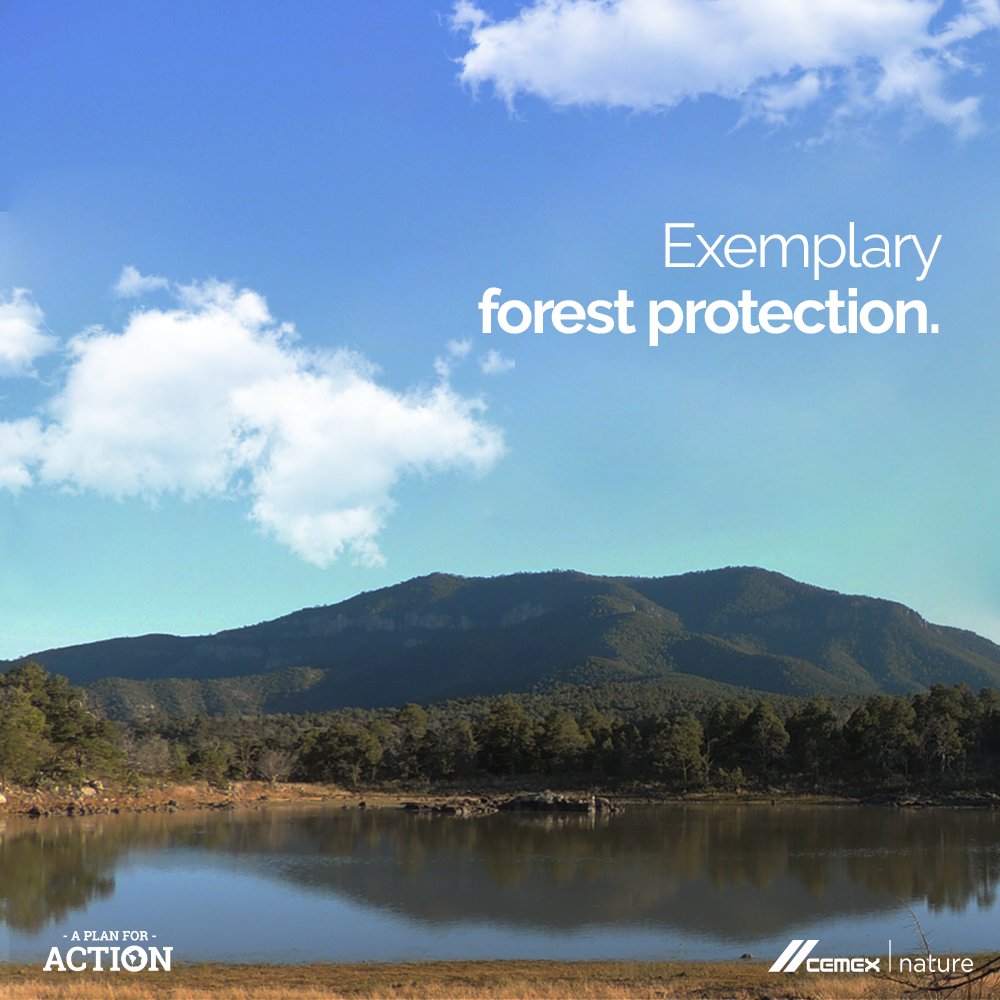 We have just been recognized by <a href="/ReforestamosMx/">Reforestamos México</a> for Forest Conservation at El Carmen Natural Reserve! Reforestamos is an organization that seeks to advance sustainable development by improving forests, and recognizes companies that protect them in Mexico. 💪