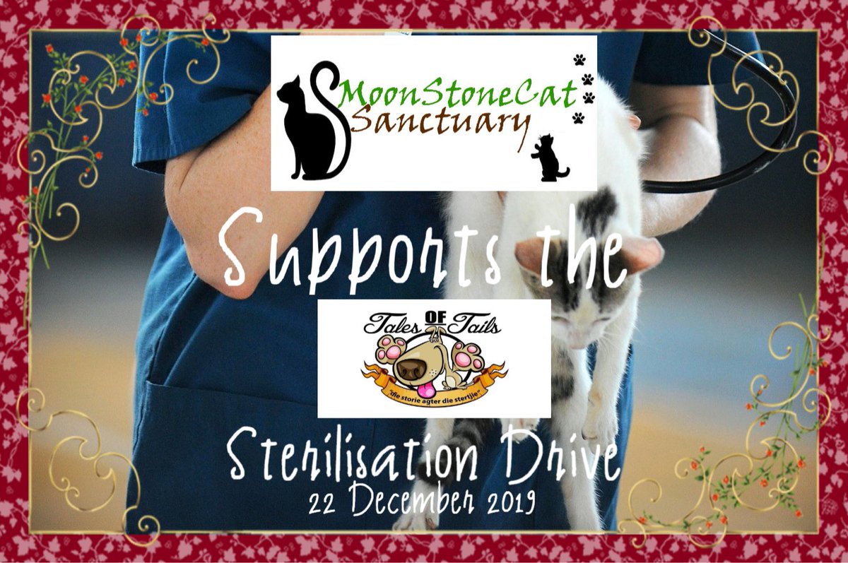 MoonstonecatS's tweet photo. Join #MoonStoneCatSanctuary &amp; #TalesofTails  in #GivingBack this #GivingTuesday. 
Sponsor sterilisation for one of our new arrivals @ R400/vaccinations @ R200.
Extra sponsorships will go towards sponsoring sterilisations &amp; vaccinations for other Furbabies.
Any Donations Accepted. https://t.co/9cCIY335r9