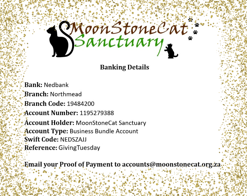 MoonstonecatS's tweet photo. Join #MoonStoneCatSanctuary &amp; #TalesofTails  in #GivingBack this #GivingTuesday. 
Sponsor sterilisation for one of our new arrivals @ R400/vaccinations @ R200.
Extra sponsorships will go towards sponsoring sterilisations &amp; vaccinations for other Furbabies.
Any Donations Accepted. https://t.co/9cCIY335r9