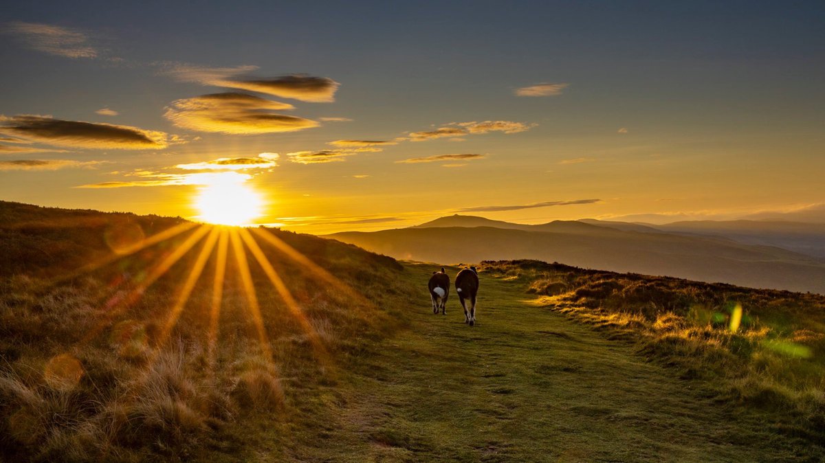 Heading home for breakfast after watching the sunrise - Penyclodau hill fort - Denbighshire <a href="/DerekTheWeather/">Derek Brockway - weatherman</a> @ruthwignall <a href="/BBCWales/">BBC Wales 🏴󠁧󠁢󠁷󠁬󠁳󠁿</a> <a href="/DenbshireCside/">Cefn Gwlad Sir Ddinbych🌳Denbighshire Countryside</a> <a href="/Clwyd_Dee_AONB/">Clwydian Range and Dee Valley National Landscape</a>